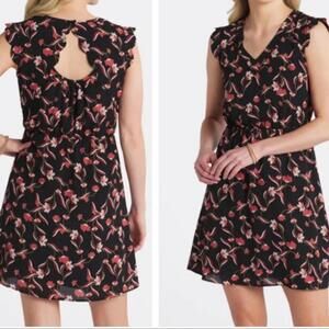 NWT 41 Hawthorn Black Floral Dress size XL